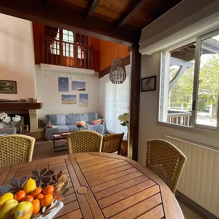 Duplex T5 Avec Terrasse Panoramique A 150m De La - - Fr-1-420-130 Аркашон