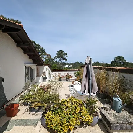 Duplex T5 Avec Terrasse Panoramique A 150m De La - - Fr-1-420-130