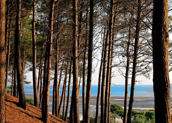 Duplex T5 Avec Terrasse Panoramique A 150m De La - - Fr-1-420-130 Arcachon